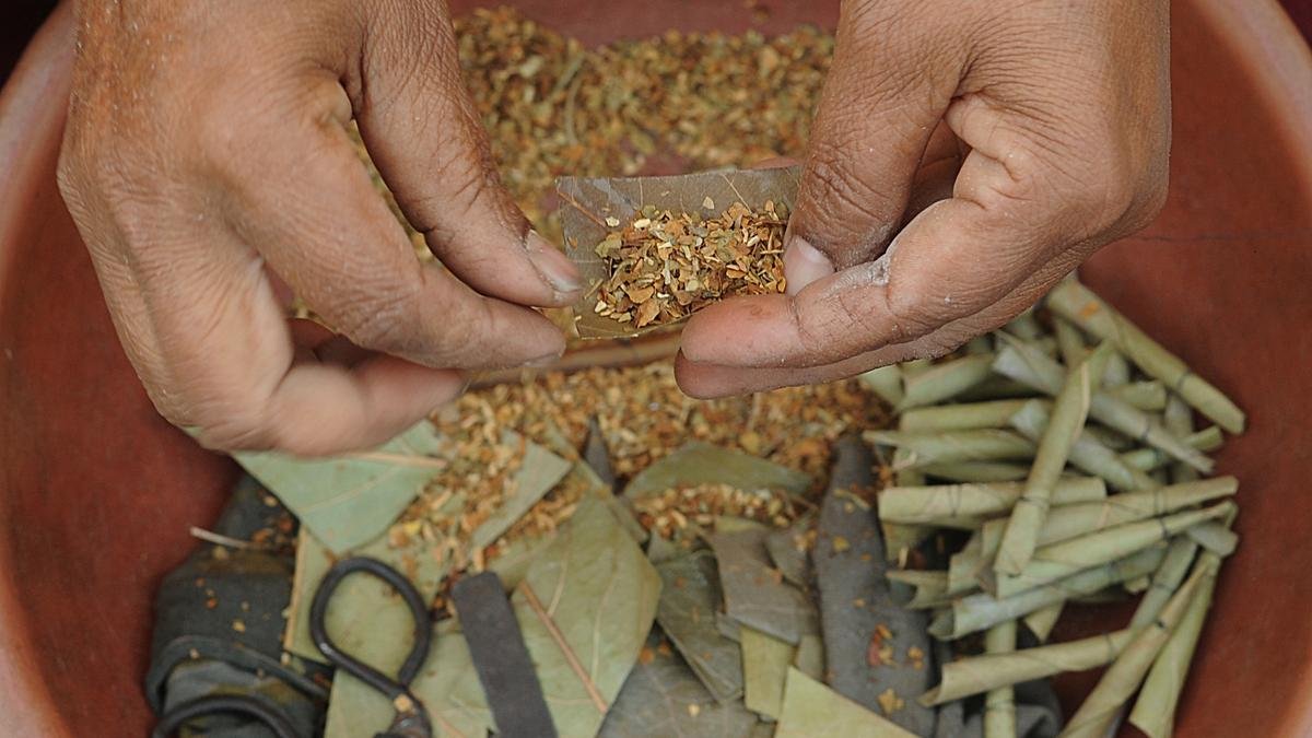 Lower beedi taxes are short-term gain but long-term pain | Data